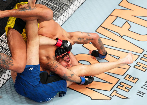 Eryk Anders