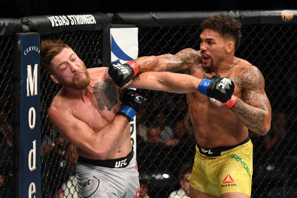 Eryk Anders