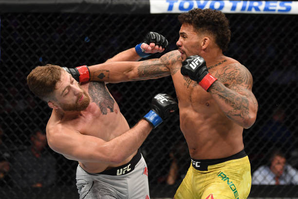Eryk Anders