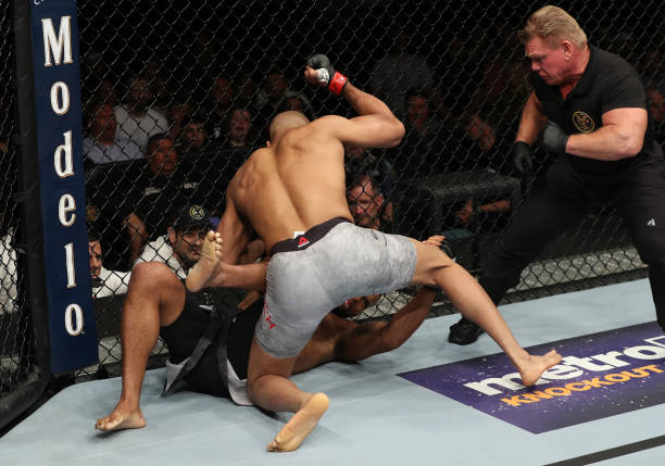 David Branch