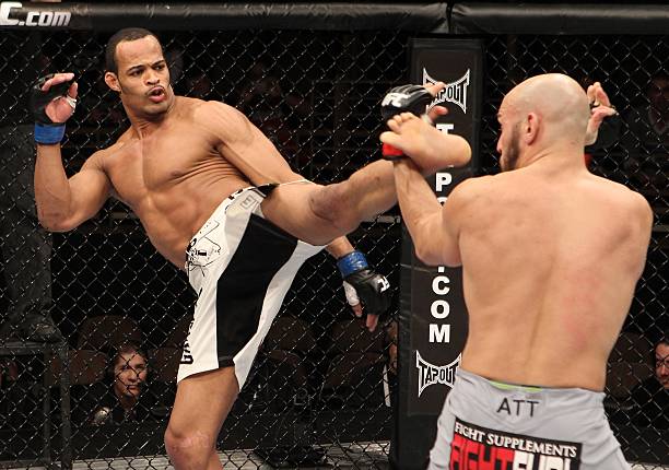David Branch