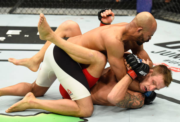 David Branch