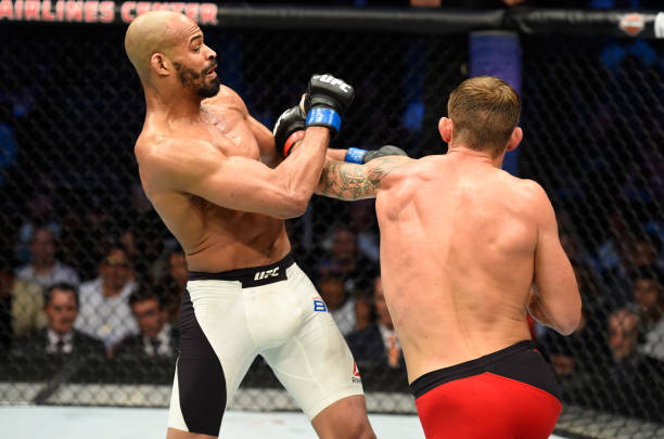 David Branch
