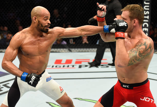 David Branch