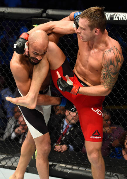 David Branch