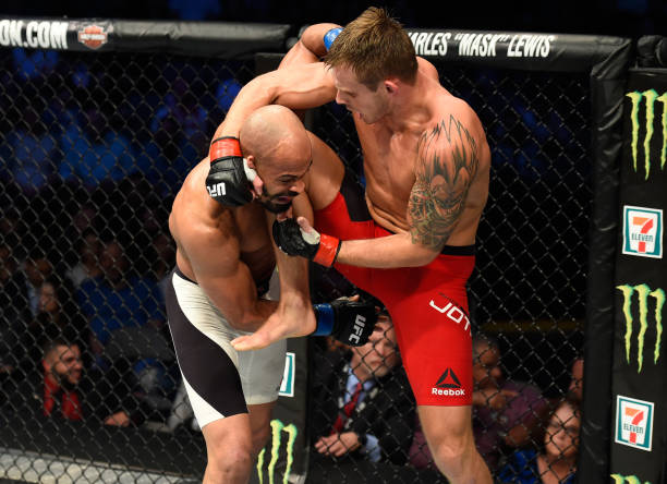 David Branch
