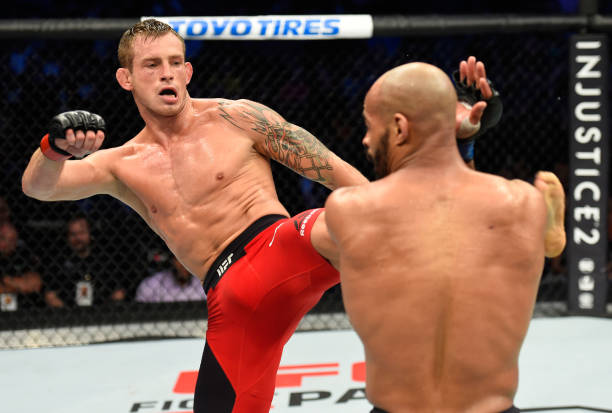 David Branch
