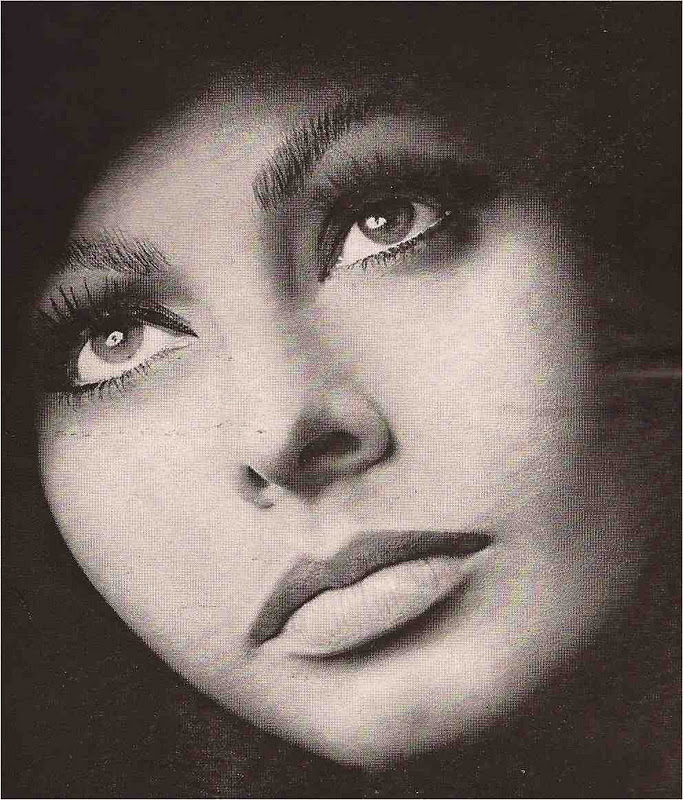 Sophia Loren picture