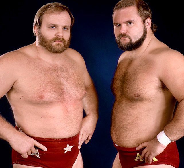 Ole Anderson