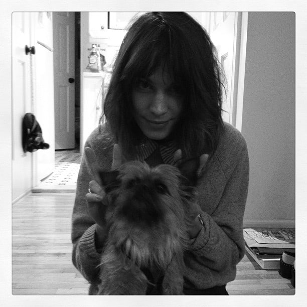Alexa Chung