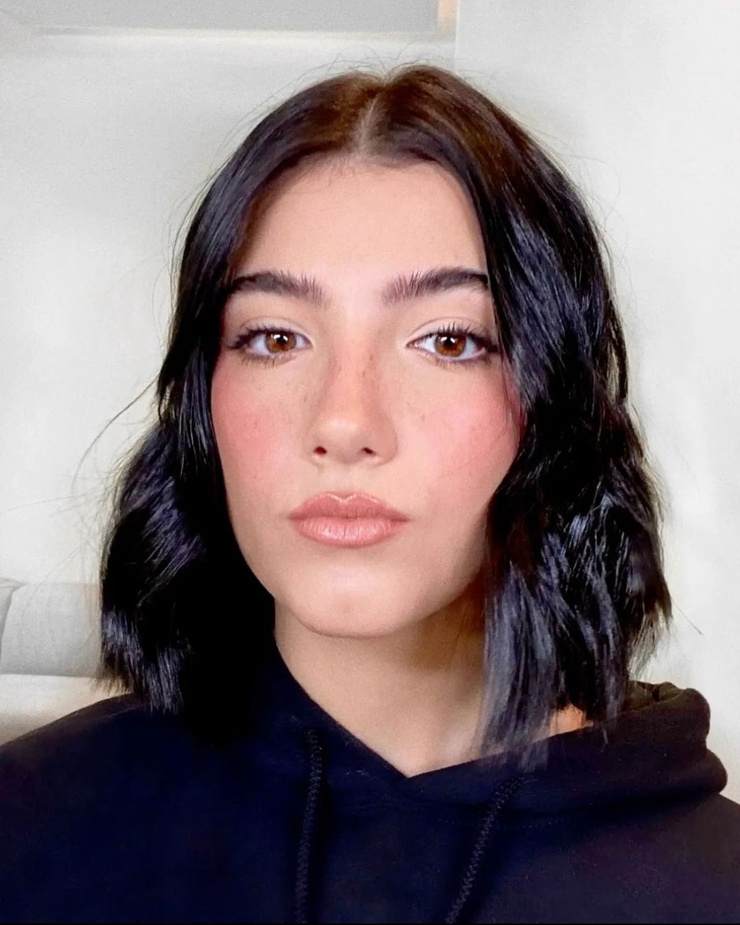 Picture of Charli D'Amelio