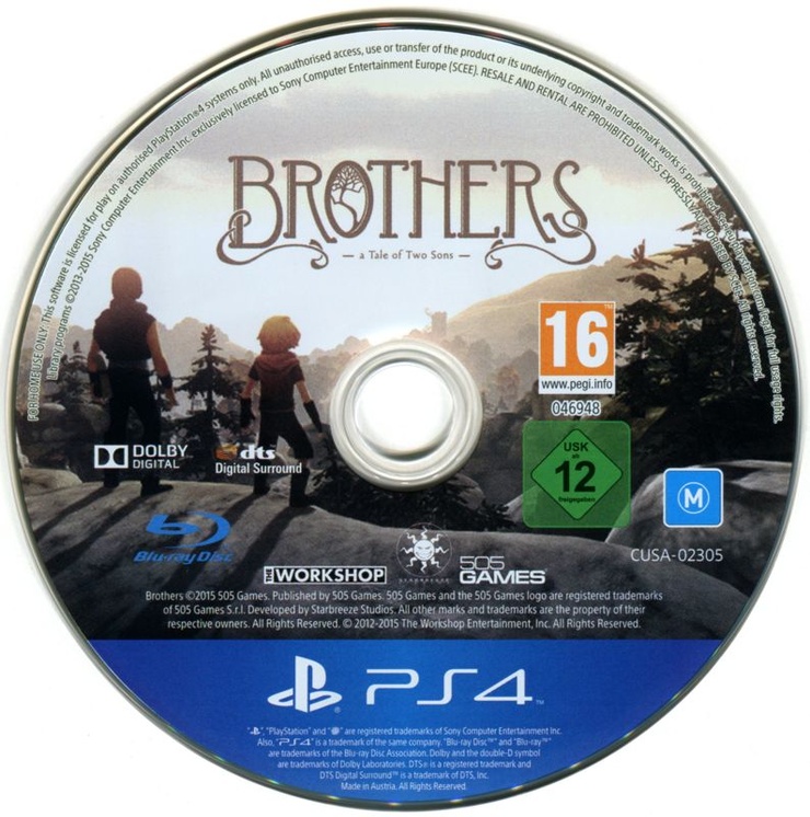 Brothers: A Tale of Two Sons