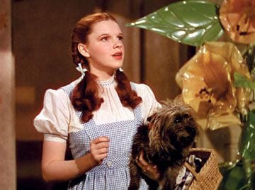 The Wizard of Oz