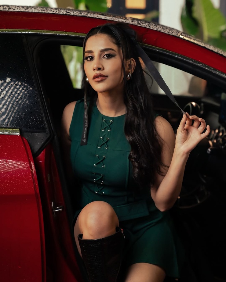 Nabha Natesh