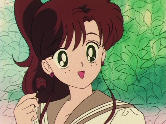 Makoto Kino / Sailor Jupiter