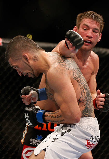 Sam Stout