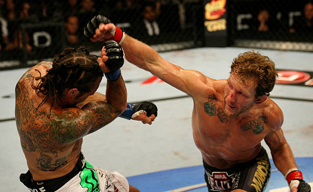 Gray Maynard