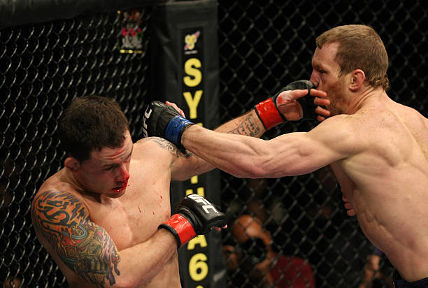 Gray Maynard
