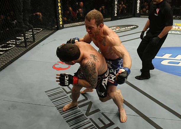 Gray Maynard