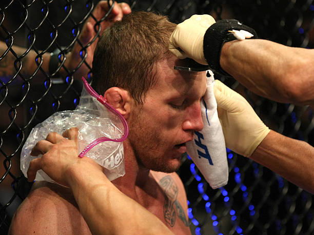 Gray Maynard