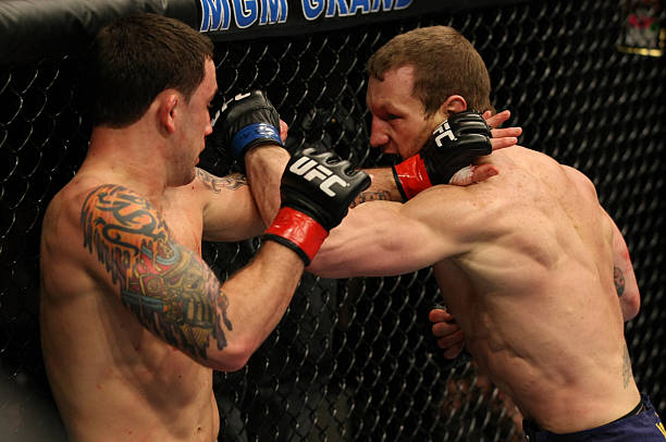 Gray Maynard