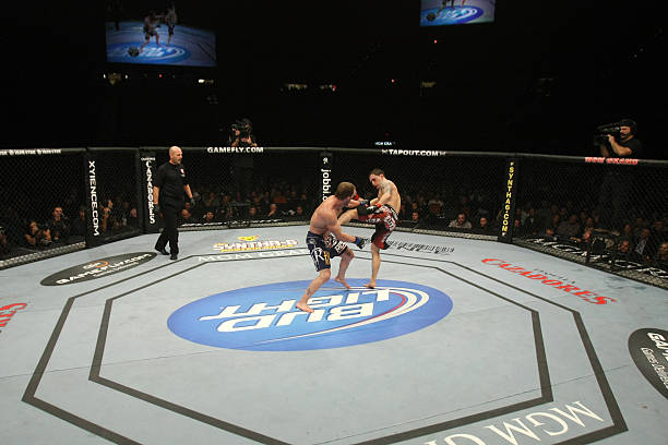 Gray Maynard