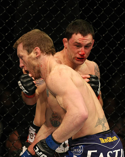 Gray Maynard