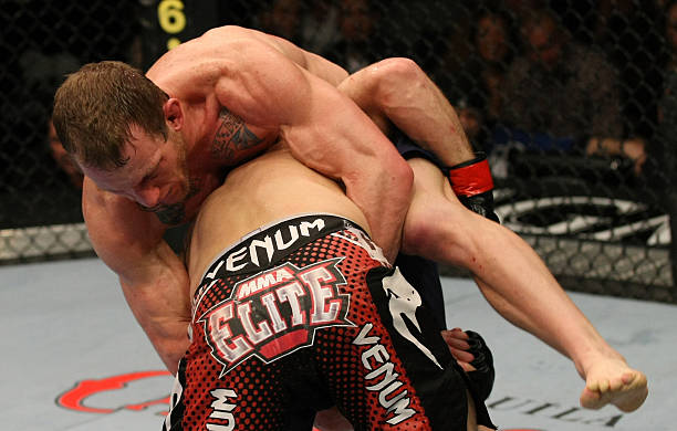Gray Maynard