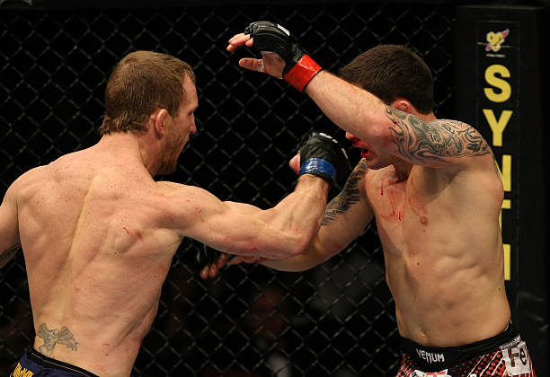 Gray Maynard
