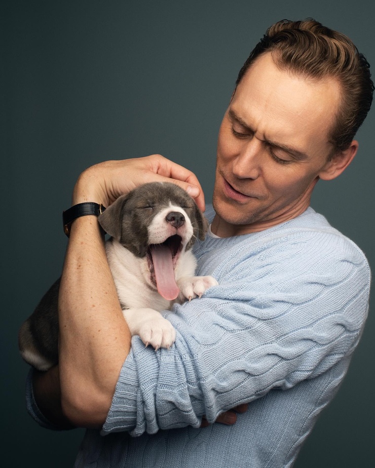 Tom Hiddleston Tom Hiddleston