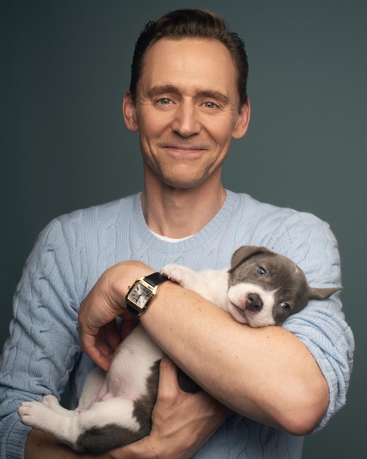 Tom Hiddleston Tom Hiddleston