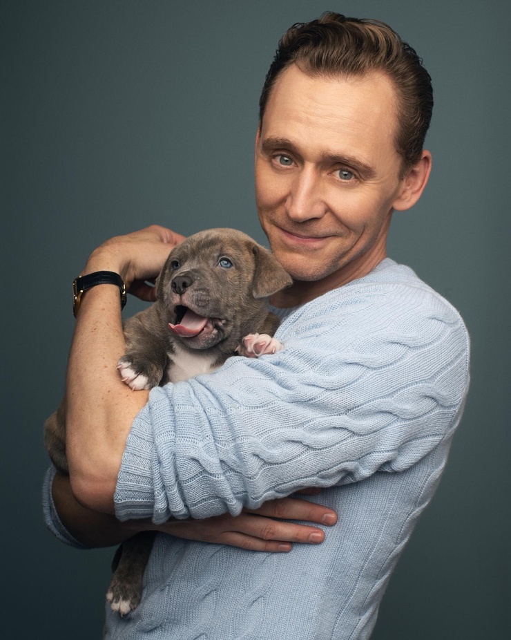 Tom Hiddleston Tom Hiddleston