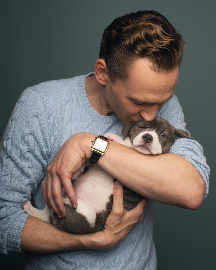 Tom Hiddleston Tom Hiddleston