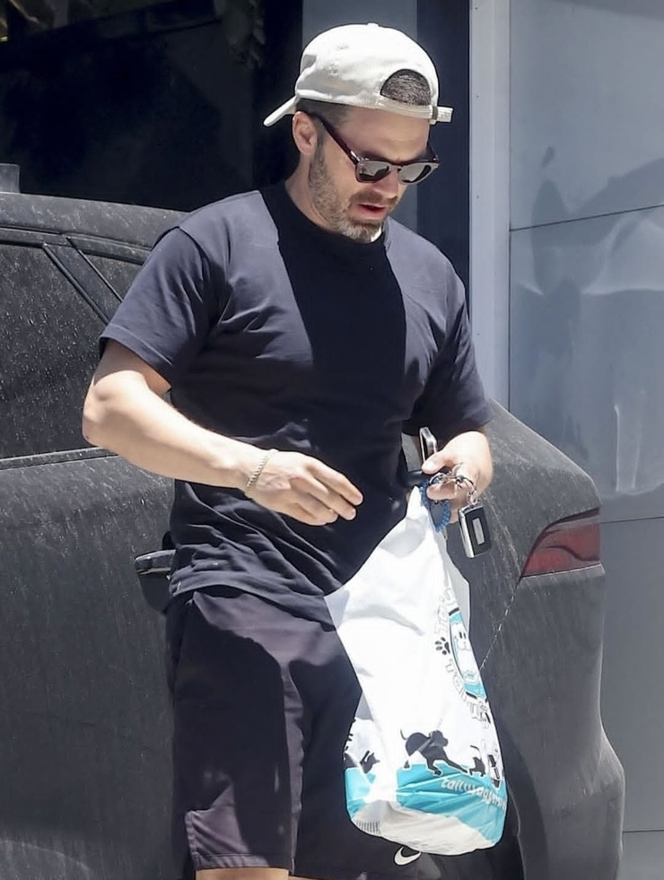 Sebastian Stan