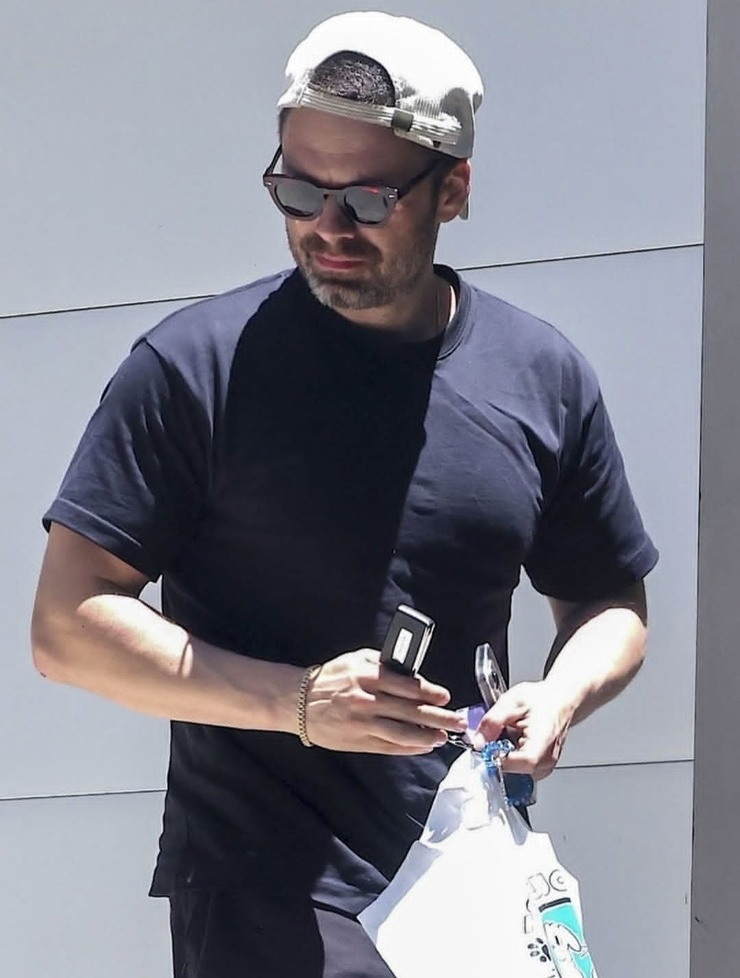 Sebastian Stan