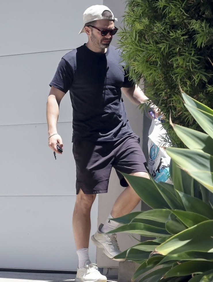 Sebastian Stan