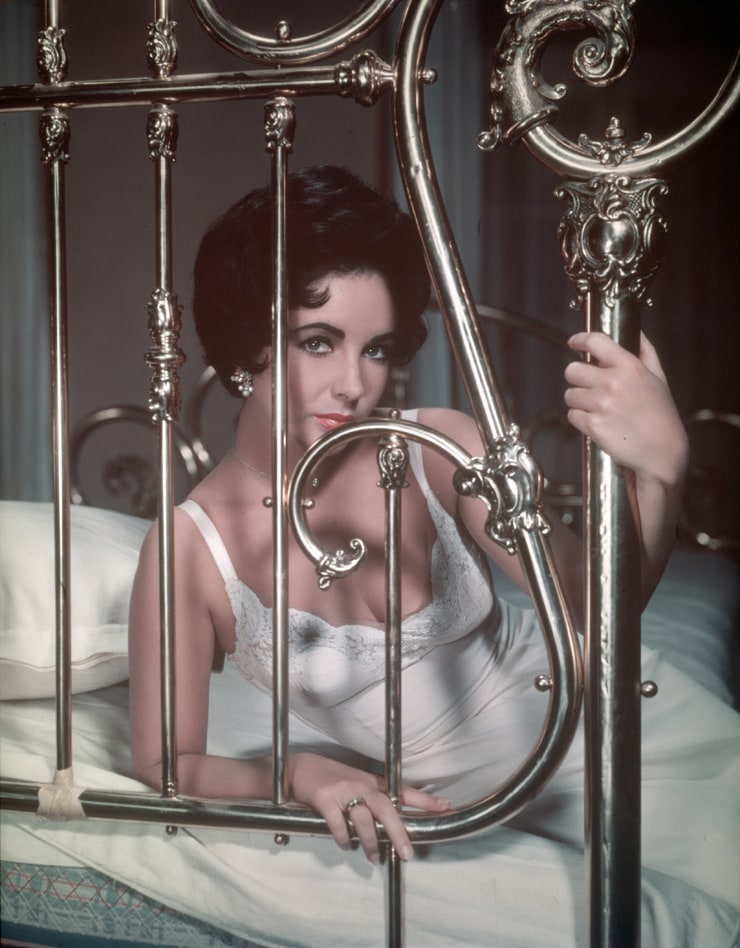 Elizabeth Taylor Elizabeth Taylor