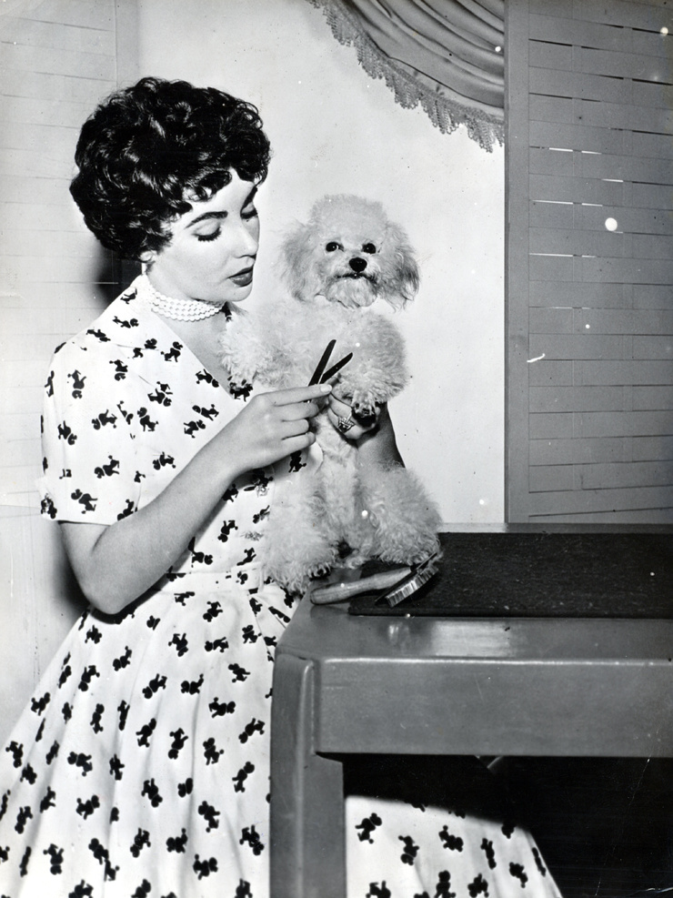 Elizabeth Taylor Elizabeth Taylor