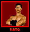 Pit-Fighter