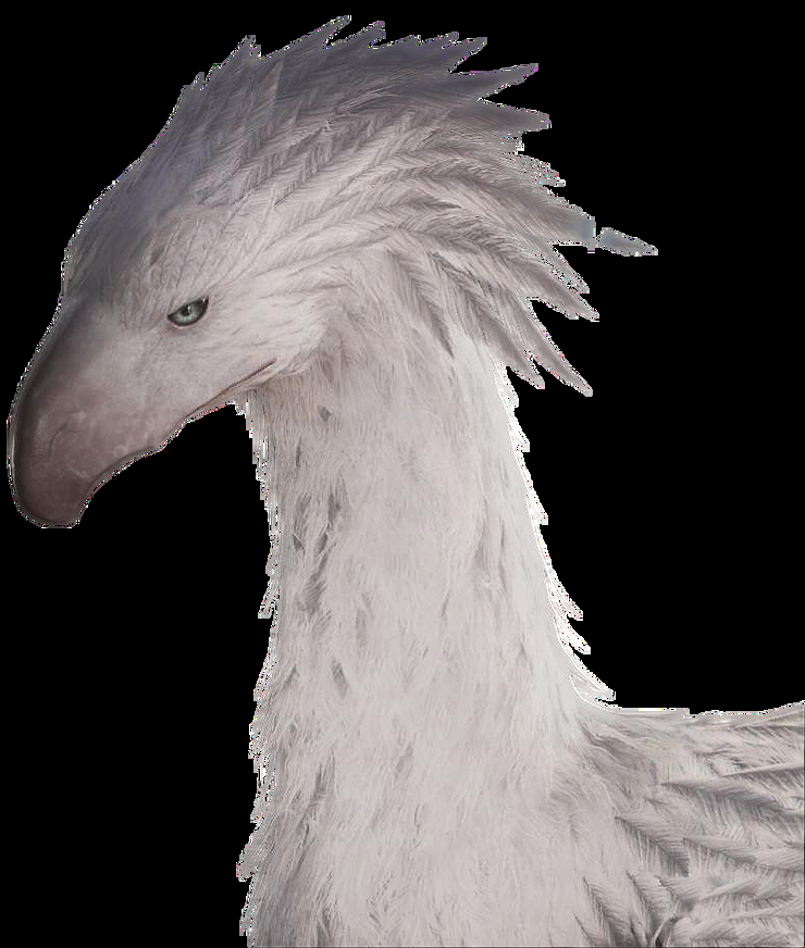 Ambrosia