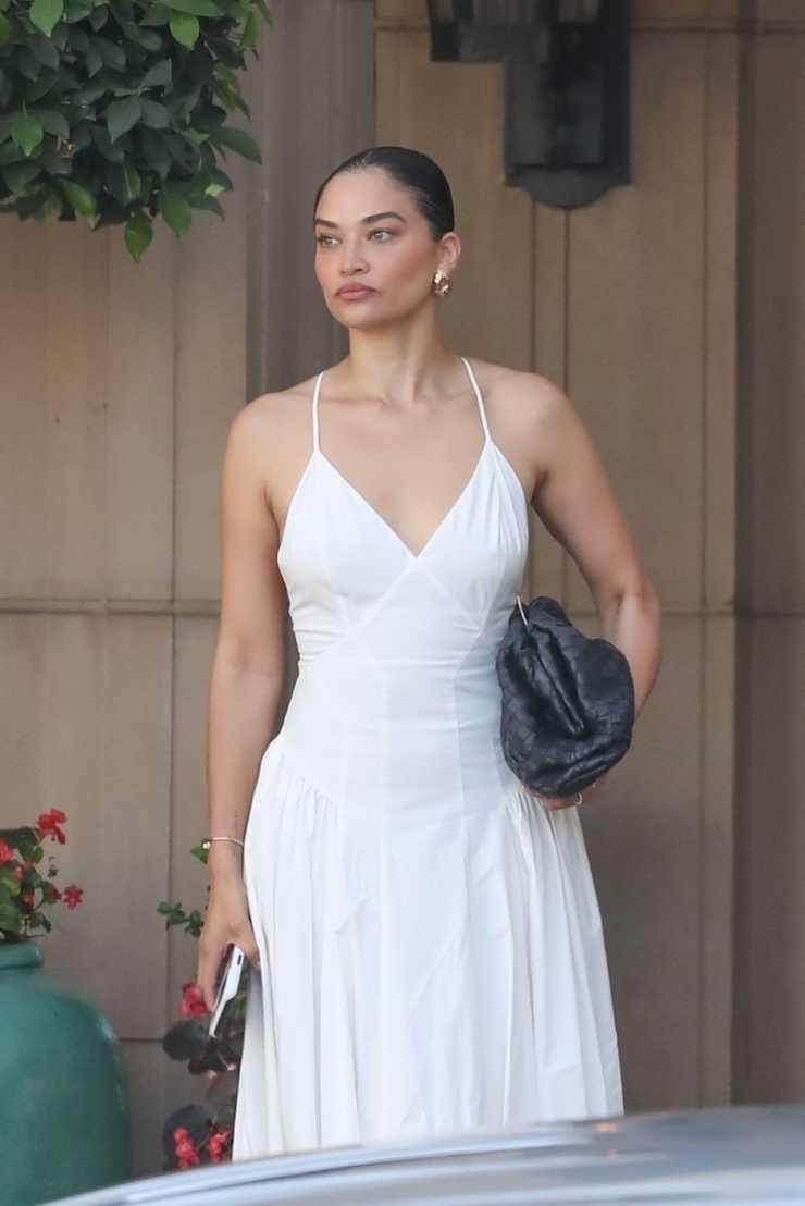 Shanina Shaik