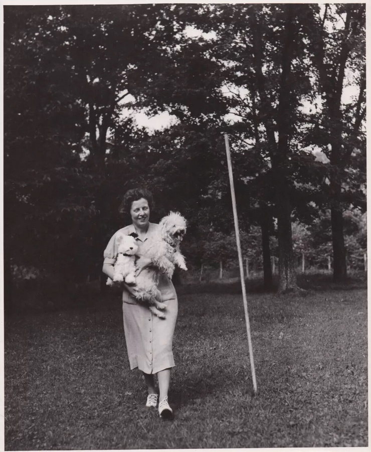 Edwina Dumm