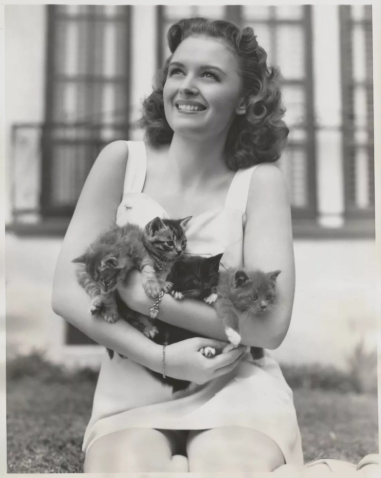 Donna Reed Donna Reed