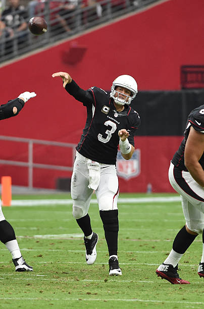 Carson Palmer