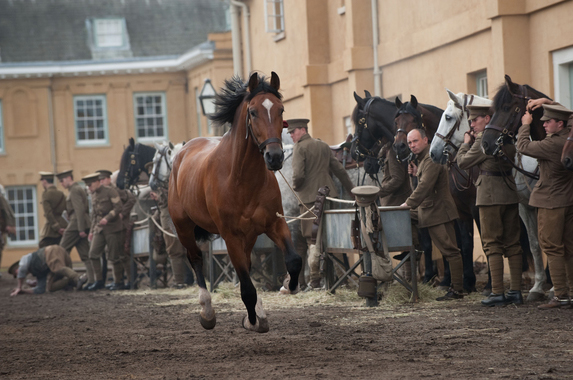 War Horse