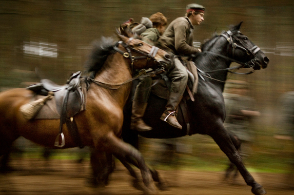 War Horse War Horse