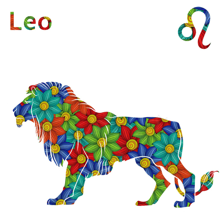 Leo Leo