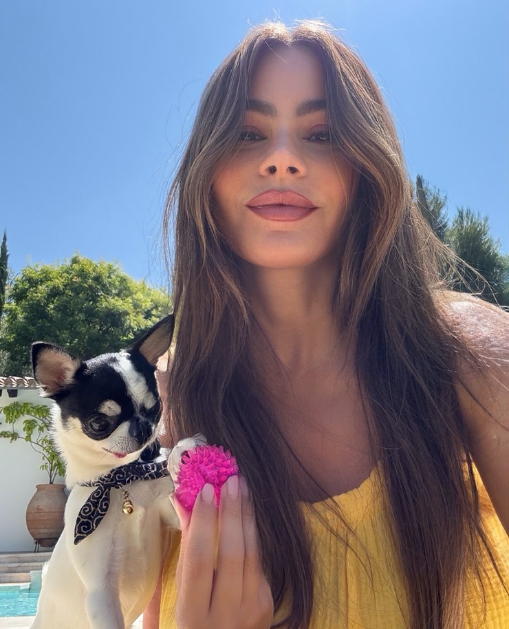 Sofía Vergara