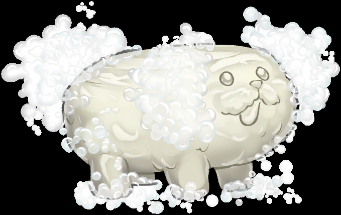 Sudsy