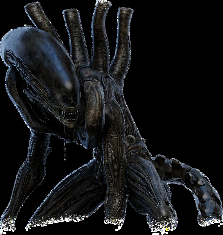 Xenomorph